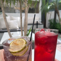 Bar＆Lounge MAJESTIC - 