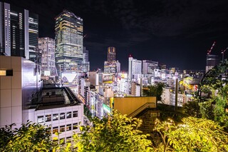 THE LEGIAN TOKYO - 