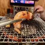 京もつ鍋ホルモン 朱々 - 