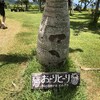 のばれ岬観光農園