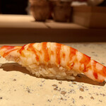 菊鮨 - 島原 車海老