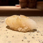 菊鮨 - あおりいか