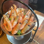 Shrimp Garden - 