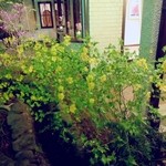 シュマンドール - 入口外に咲いていたヤマブキです。こちらのお店のガーデンも素晴らしいですよ。