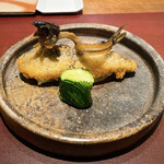 イル アオヤマ - 