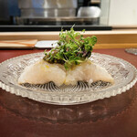 イル アオヤマ - 