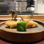 イル アオヤマ - 