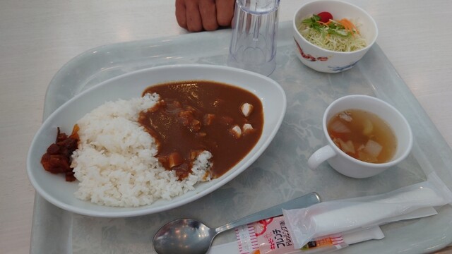 新日本海フェリーあかしあ グリル霞 - 南小樽（日本料理）の写真