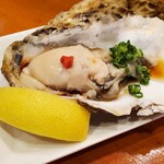 居酒屋鳥のぶ - 