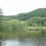 空cafe - ビッキ沼