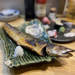 Sakurayama Sushi Shokunin Gotoni - 自家製サバの一夜干し