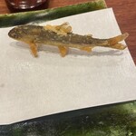 旬彩天 つちや - 稚鮎