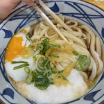 Marugame Seimen - 