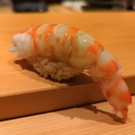 鮨 さかい - 車海老