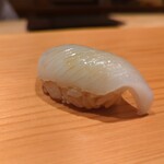 鮨 さかい - アオリイカ