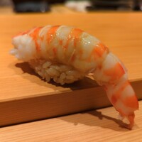 鮨 さかい - 車海老