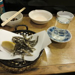 春のお店 - 梵、福井特別純米大吟醸（８００円）