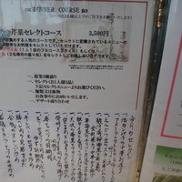 チャイニーズ 芹菜 - 