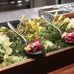 IZA - 炙り馬肉のワンスプーン