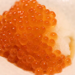 玄水 - 新物いくら