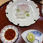 礒田 - アコウとシロイカ