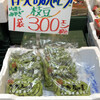 八百長商店 大町店