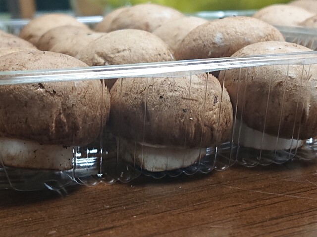 有限会社 舟形マッシュルーム - 長沢（その他）の写真