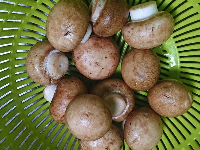 有限会社 舟形マッシュルーム - 長沢（その他）の写真