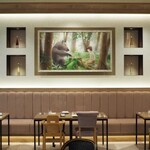 Cresson River Side Story