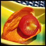 上野 寿司 個室 天通 - 