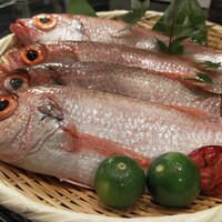 のどぐろ専門店 赤坂 かなめ - 