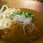 わけい - ぶっかけカレーうどん