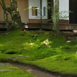 Kyukaruizawa Cafe Suzunone - 昭和初期的別墅