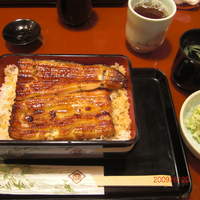 うなぎ割烹 大江戸 - うな重