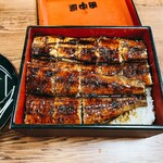 うなぎの田中屋 - うな重(上)