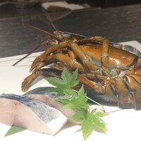 名駅 鉄板焼き 森本Ｘ Premium - 