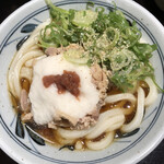 Kanokawa Seimen - 梅とろろ鷄うどん　¥550