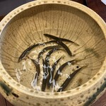 柚木元 - 天龍鮎