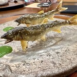 柚木元 - 完璧な焼