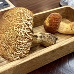 柚木元 - でかい！