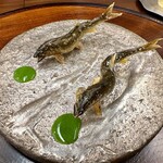 柚木元 - 天龍鮎