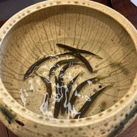 柚木元 - 天龍鮎