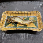 みつき - 鮎さん