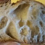 レトロドール・ファリネの断面