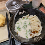 Hanamaru Udon - 