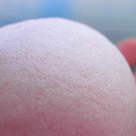 ひたすら上品な淡桃薯蕷皮