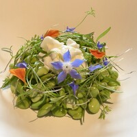 ナクレ - 仙台茶豆のサラダ