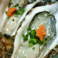 浅草 魚料理 遠州屋 - 牡蠣酢