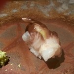 鮨 橋口 - 2013.4月　生とり貝