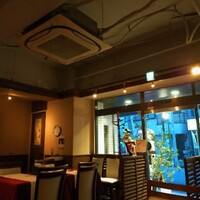 Magnolia - 